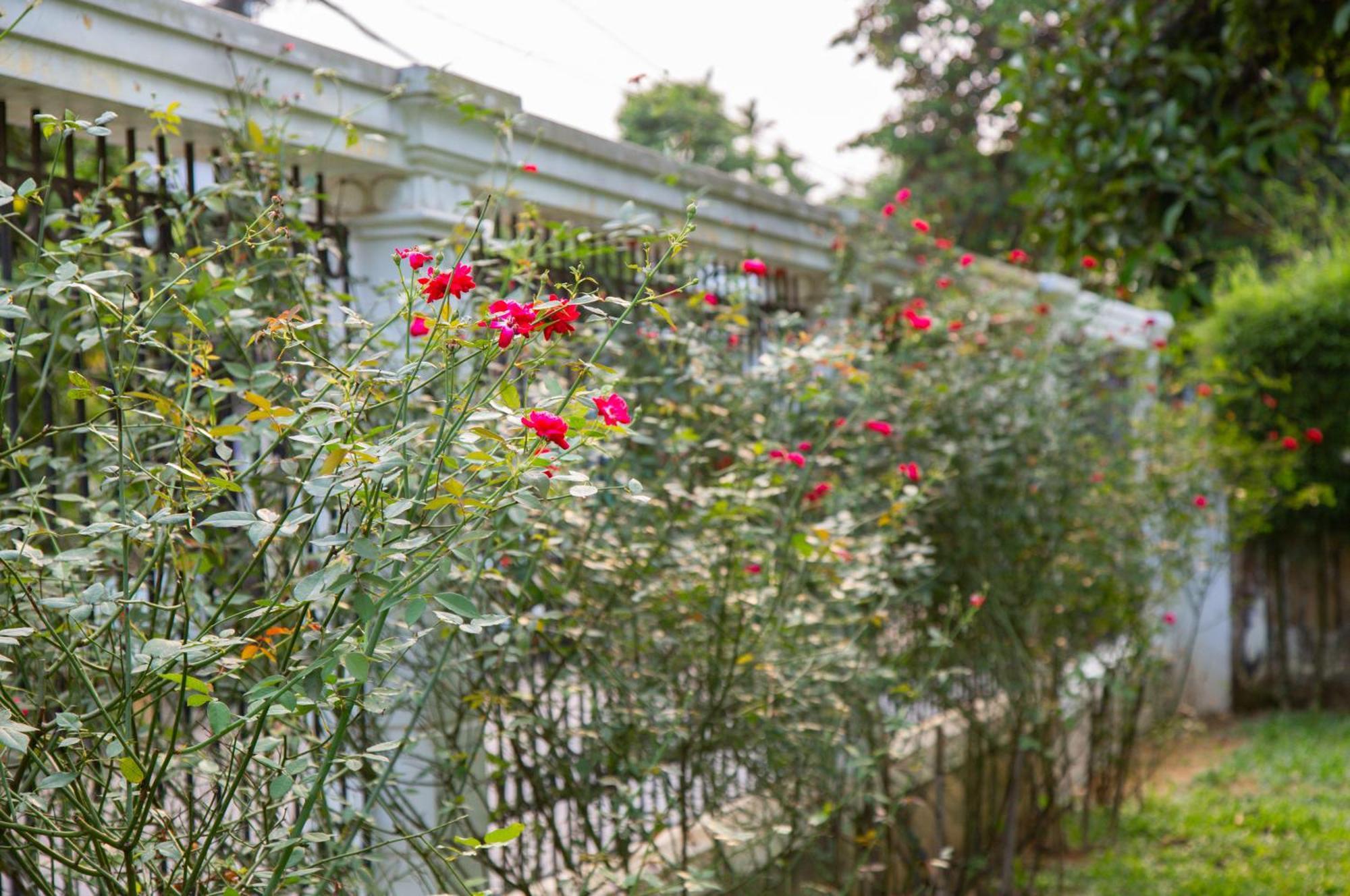 L'Ame - The Hideaway Villa เว้ ภายนอก รูปภาพ